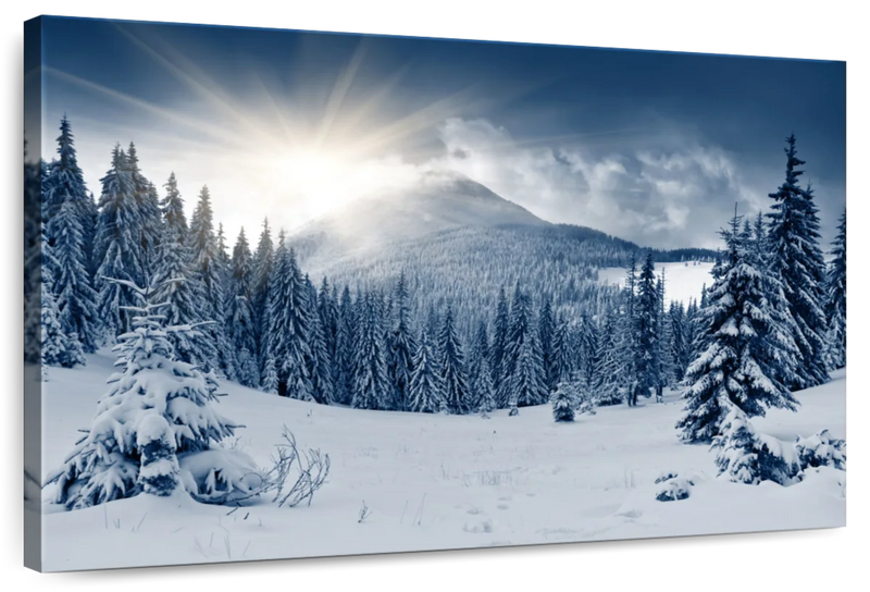 Landscape Winter Wall Art