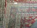 4' X 6' Antique Handmade Turkish Tree Of Life Oriental Wool Rug Birds Red