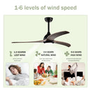 Indoor Outdoor Ceiling Fan With Light With Remote Control, Noiseless Reversible Motor, 6 Speed, 3 Color by HouseOfZazla