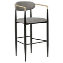 Tina Fabric Upholstered Bar Chair Dark Grey (Set of 2)