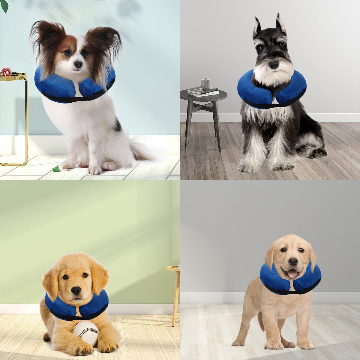 GBruno Dog Protective Inflatable Collar, photo 6 of 7