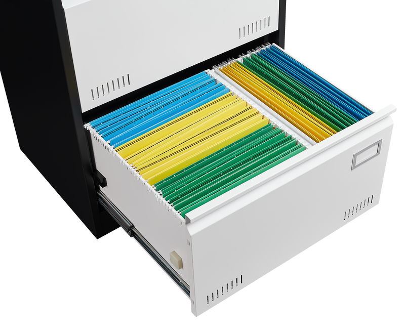 2 Drawer Metal Lateral File Cabinet with Lock,Office Vertical Files Cabinet for Home Office/Legal/Letter/A4,Locking Metal File Cabinet,Assembly Required