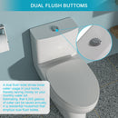 Modern Ceramic 1 Piece Toilet With Dual Flush And Soft Closing Seat - White by HouseOfZazla