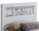 Bed With Transitional Design Stylish