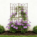 2 Pack Metal Garden Trellis