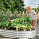 Heavy Duty Galvanized Raised Garden Bed Kit 8x4x1ft