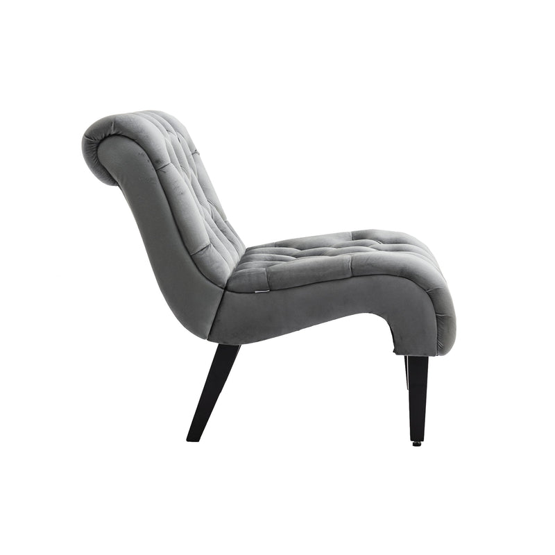 Accent Living Room Chair / Leisure Chair