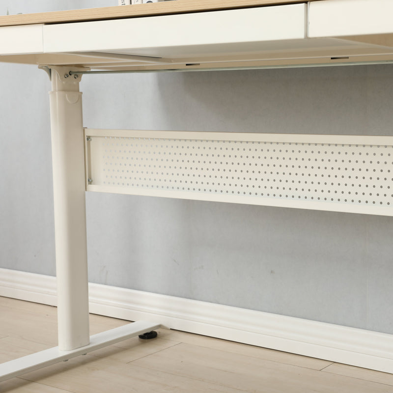 (Maple Tabletop) 48 x 24 InchesStanding Desk with Metal Drawer, Adjustable Height Stand up Desk, Sit Stand Home Office Desk, Ergonomic Workstation