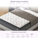 Isabella - 14" Hybrid Pillow Top Mattress by HouseOfZazla