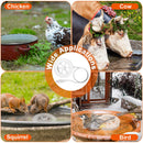 70W Outdoor Bird Bath Heater Winter Deicer with Thermostat, Auto Shutoff & Waterproof Design by GBruno Store
