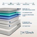 12'' Hybrid Mattress With Pocket Springs And Memory Foam, Medium Firm Support - White - Queen by HouseOfZazla