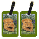 Dogue de Bordeaux Luggage Tag