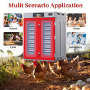 Commercial Egg Digital Cabinet Incubator With Auto Temperature & Humidity Control by HouseOfZazla