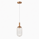 Modern Style Pendant Lamp - Bronze and Clear