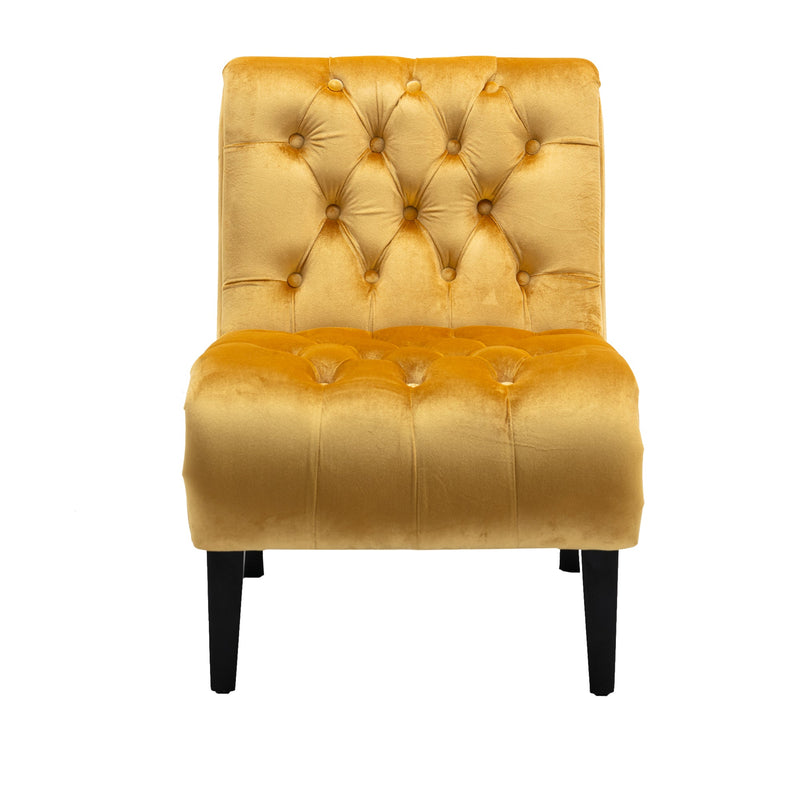 Accent Living Room Chair / Leisure Chair
