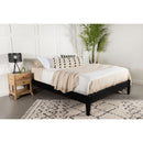 Ridgeview - Queen Storage Panel Bed With Low Profile Design - Black by HouseOfZazla