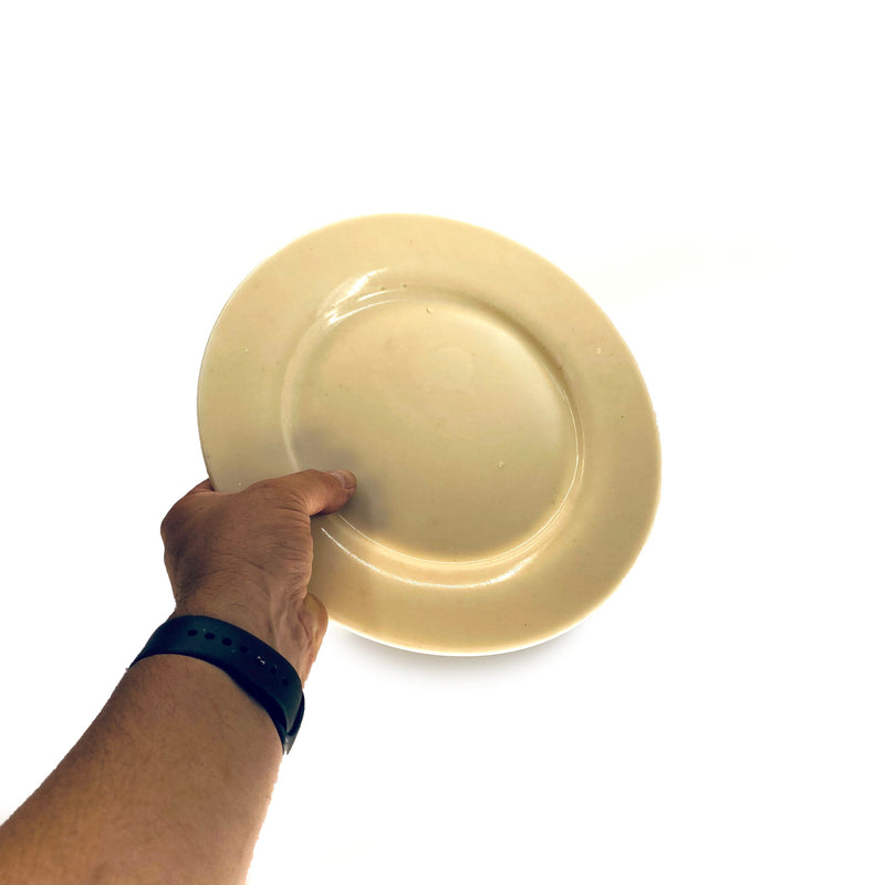 SMASHProps Breakaway Medium Dinner Plate