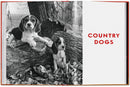 Walter Chandoha. Dogs. Photographs 1941–1991 (English)