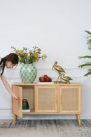 Wooden Accent TV Cabinet With 3 Doors - Brown by HouseOfZazla