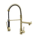 Stainless Steel Kitchen Faucet with Pull Down Sprayer