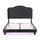 Queen Upholstered Bed Button Tufted with Curve Design