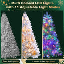 Premium Christmas Trees
