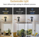 Modern Flush Mount Ceiling Fan With Led Light And Remote Control, 3 ABS Blades Noiseless Reversible Dc Motor For Patio Living Room - Matte Black by HouseOfZazla