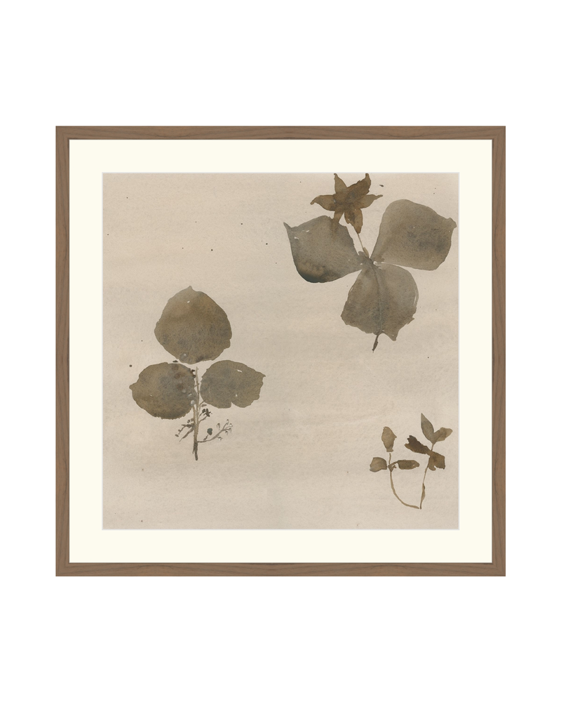 Botanical Thoughts I