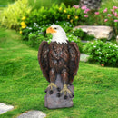 13" H x 24.4" L Large Standing Bald Eagle Garden Statue by HouseOfZazla