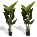 Artificial Plant For Indoor And Outdoor Decoration (Set of 2) by HouseOfZazla