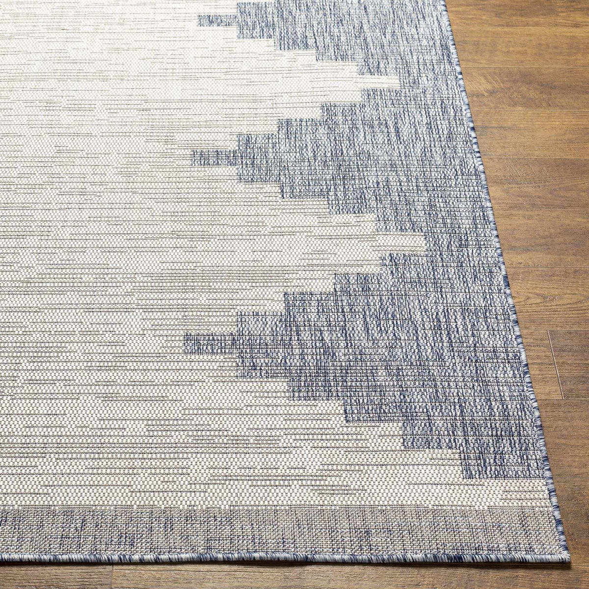 Djugun Blue Indoor & Outdoor Rug, photo 4 of 6