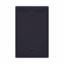 Eaton PJ13 Single Gang Duplex Blank Wallplate