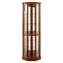 6 Shelf Lighted Corner Curio Cabinet With Adjustable Tempered Glass Shelves And Mirror Back (E26 Light Bulb Not Included) by Unique Piece Furniture