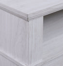 Terra - TV Stand Console With Fireplace - White Walnut by HouseOfZazla