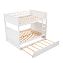 Bunk Bed With Twin Size Trundle, Guardrails by HouseOfZazla