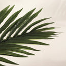 6FT Artificial Palm Tree with Realistic Detail by HouseOfZazla