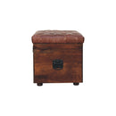 Buffalo - Storage Trunk by HouseOfZazla