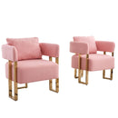 Modern Decorative Chair Teddy Fleece Upholstered And Metal Foot by Unique Piece Furniture