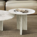 Elegant Coffee Duo Table Set by HouseOfZazla