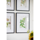 Botanical Flower Wall Art, Home Decor For Living Room Dining Room, Bedroom, Hallway (Set of 4) - White / Blue by HouseOfZazla