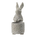 Meridian Trade Co Decorative Cement Rabbit Planter by HouseOfZazla