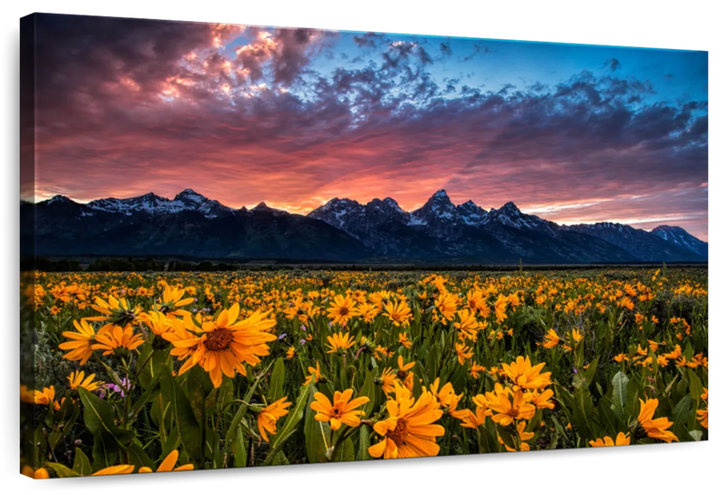 Grand Teton Wildflowers Wall Art