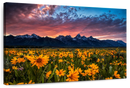 Grand Teton Wildflowers Wall Art