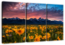 Grand Teton Wildflowers Wall Art
