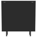 Dalia 2-door Accent Storage Cabinet with Shelving Black