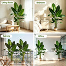 Bird of Paradise Artificial Plant - 6 Ft Tall Faux Banana Leaf Tree