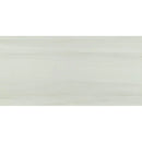 MSI Eden Dolomite Porcelain Wall and Floor Tile