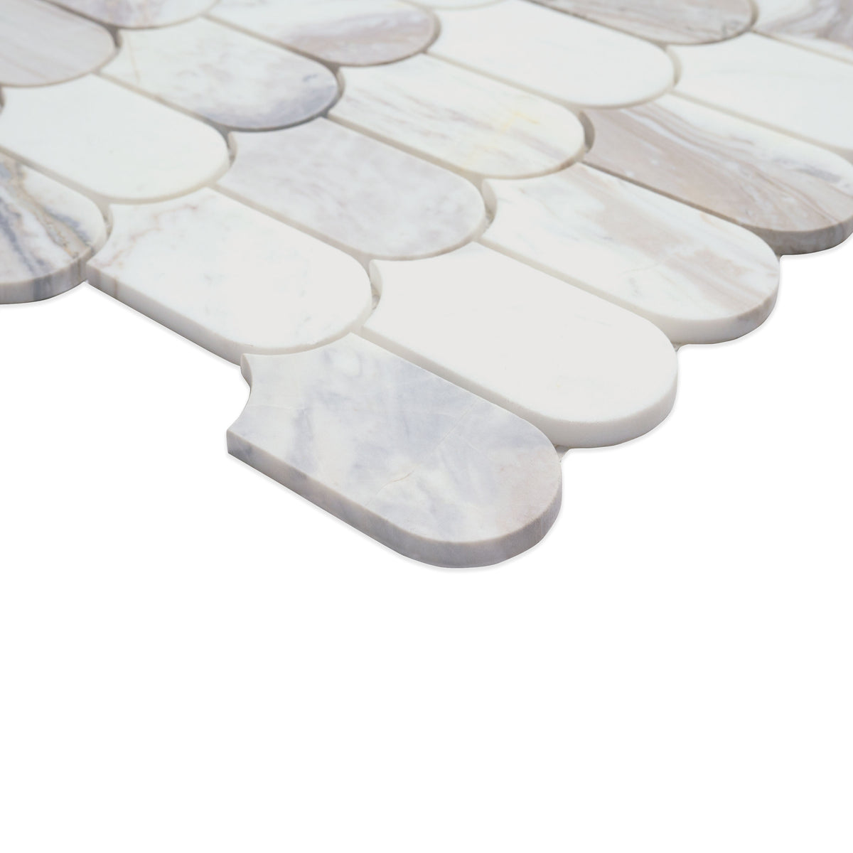 MSI Edessa Scallop Polished Tile, photo 4 of 11