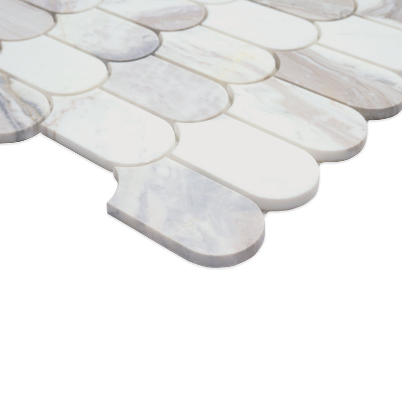 MSI Edessa Scallop Polished Tile, photo 4 of 11