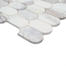 MSI Edessa Scallop Polished Tile